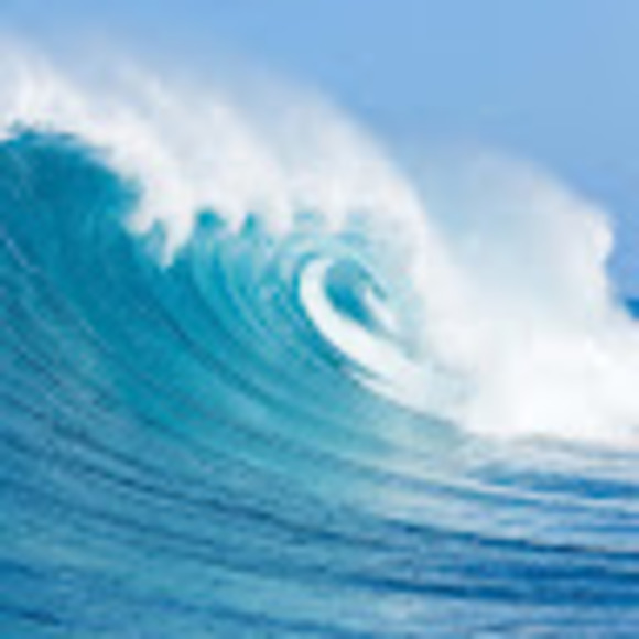 Meet your Posher, Lori - Picture 1 of 1